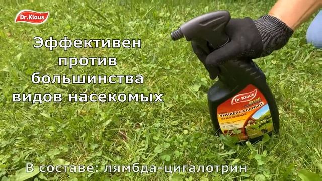 Как избавиться от муравьев быстро и эффективно. Борьба с муравьями в доме и на дачном участке. смотреть онлайн