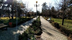 Ставропольский край, г. Ипатово 17.11.2021