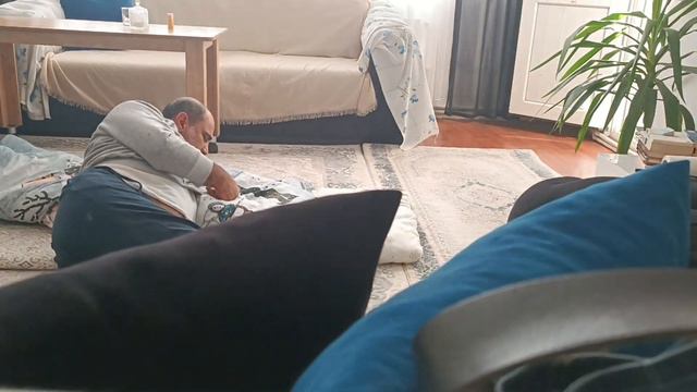 Zy-320 Rc Uçak Inceleme