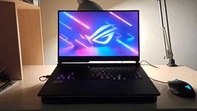 Oh God Why (2021 Asus ROG Strix G17 G713QR) смотреть онлайн