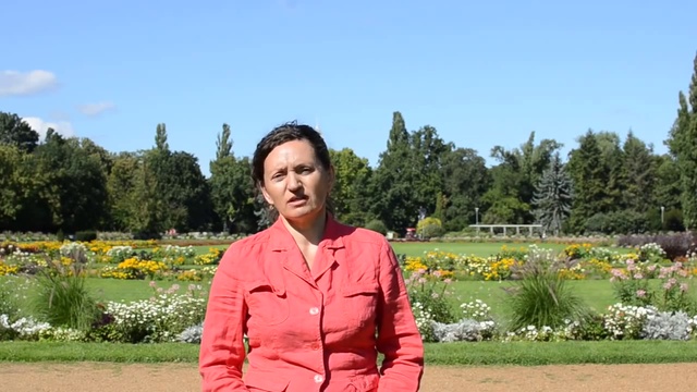 Passportes.com - лидер на рынке оформления гражданства ЕС