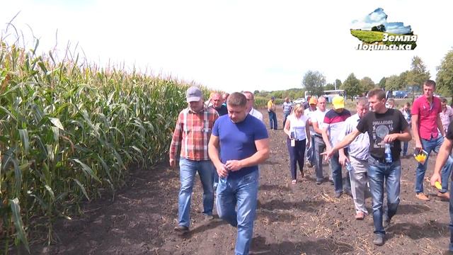 День поля компанії 