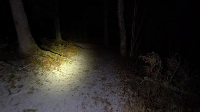 Night Hiking in the Woods ALONE in Northern Canada【4K】 смотреть онлайн