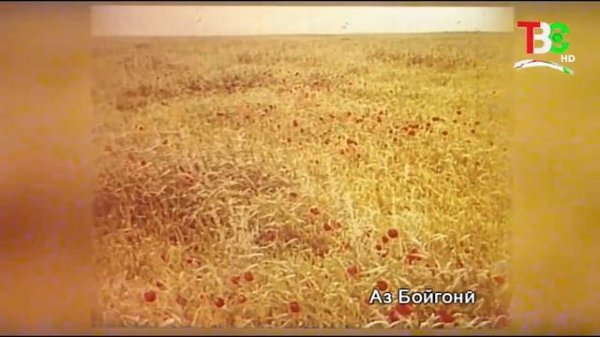 # 1Кадамчо / Ахмад Бобокулов - 2020