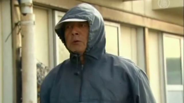 Огромные медузы наносят вред рыбному промыслу смотреть онлайн