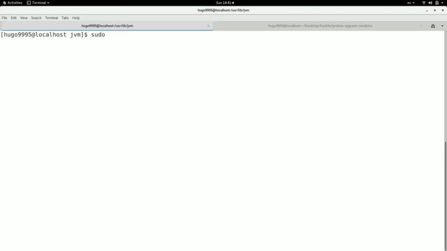 ? Use ALTERNATIVES ? | Amazon CORETTO OpenJDK 11 | Add new Java version to alternatives command смотреть онлайн