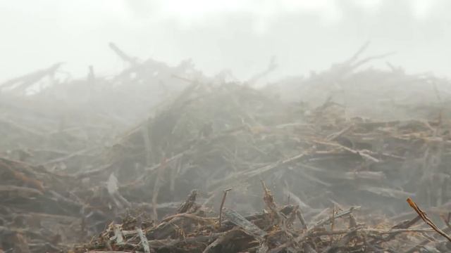 Mushrooms - Making Mushroom Compost