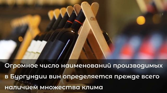 LES VIGNOBLES DE BOURGOGNE / ВИНОГРАДНИКИ БУРГУНДИИ смотреть онлайн