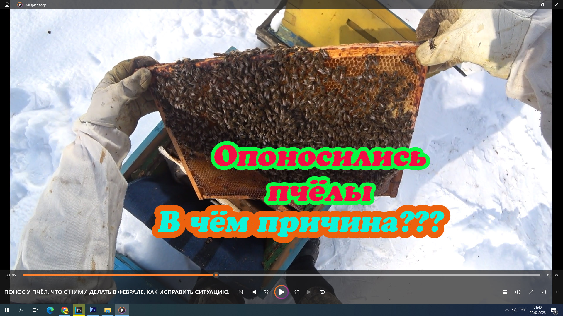 ПОНОС У ПЧЁЛ, ЧТО С НИМИ ДЕЛАТЬ В ФЕВРАЛЕ, КАК ИСПРАВИТЬ СИТУАЦИЮ. смотреть онлайн