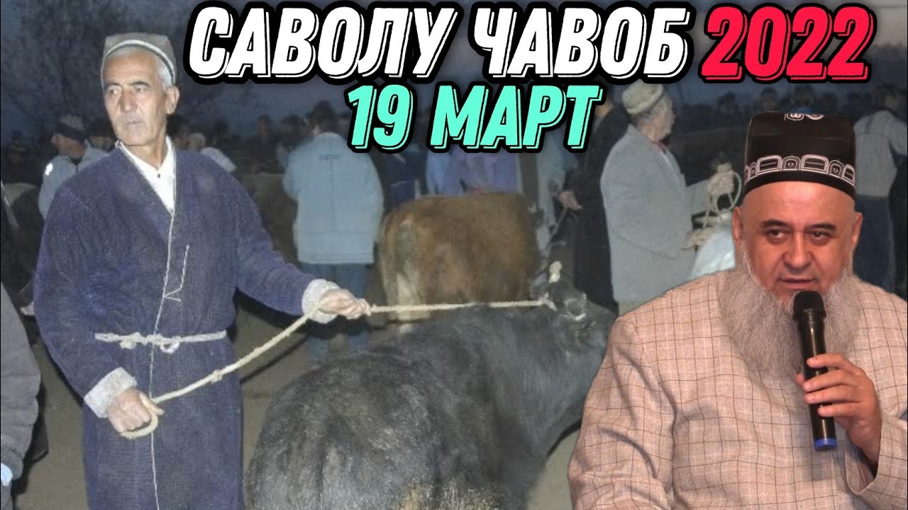 ХОЧИ МИРЗО 2022 - САВОЛУ ЧАВОБ