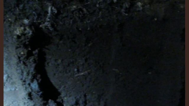 Биогумус - что это такое и как его производят