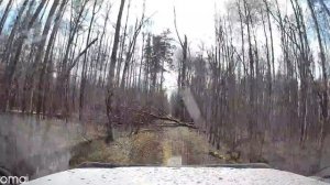 Охота на Сорок и Ворон. FX FX Impact M3 + Леший 2. Crow Hunting 2022. Кроухантинг. Jack Hunter.