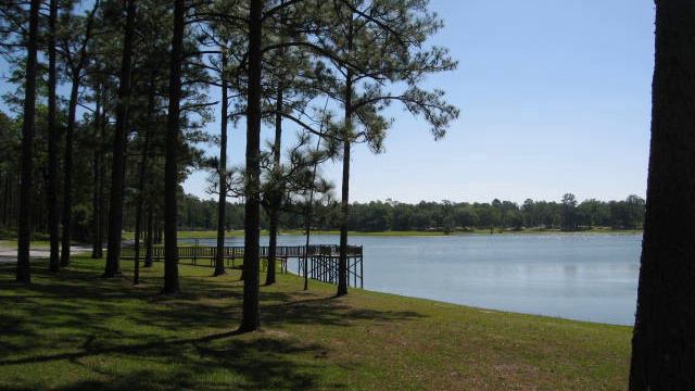 Conecuh National Forest | Wikipedia audio article смотреть онлайн