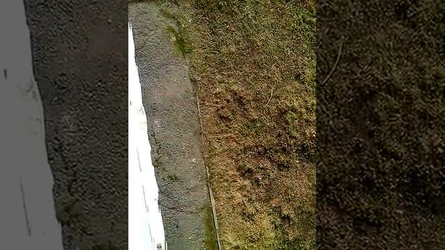 КАК КУРИТ СОСЕД И БРОсает бычек смотреть онлайн