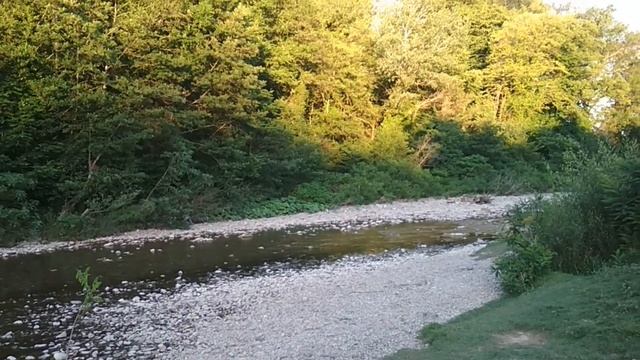 Магнолия и гартензия вестники лета. смотреть онлайн