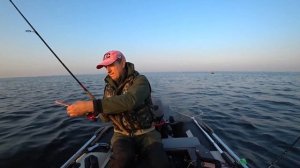 Троллинг | Ловля судака на Финском заливе | Сестрорецк