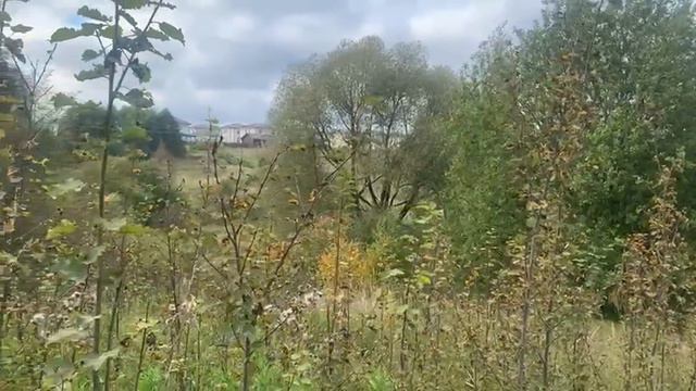 зу :1636 смотреть онлайн