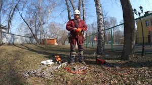 Удаление деревьев. Снаряжение для арбористов обучение (урок №1)