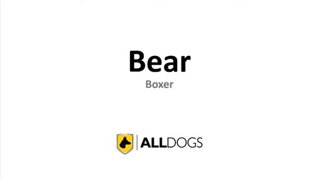 AllDogs Security Showreel (Guard Dogs) смотреть онлайн