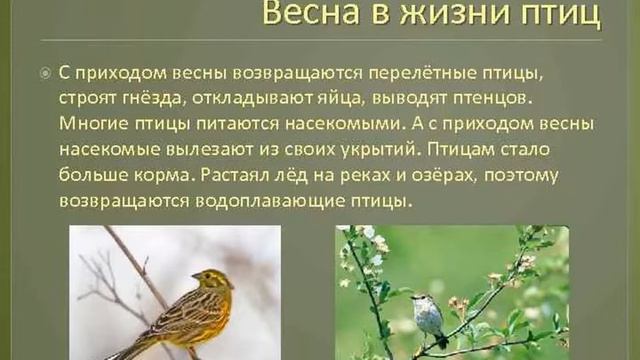 Онлайн-выставка «И это время называется Весна!» смотреть онлайн