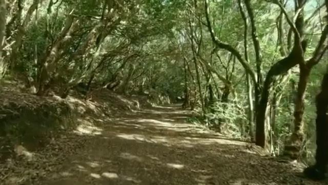 ?Нежные звуки природы? смотреть онлайн