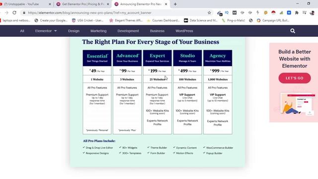 Elementor WordPress Website Builder New Price and VIP Support March 2021 смотреть онлайн