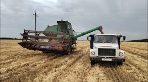 Уборка урожая пшеницы 2022. «Дождевая пауза»