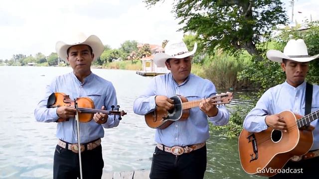 Trío Alma Huapanguera - El Serranito смотреть онлайн