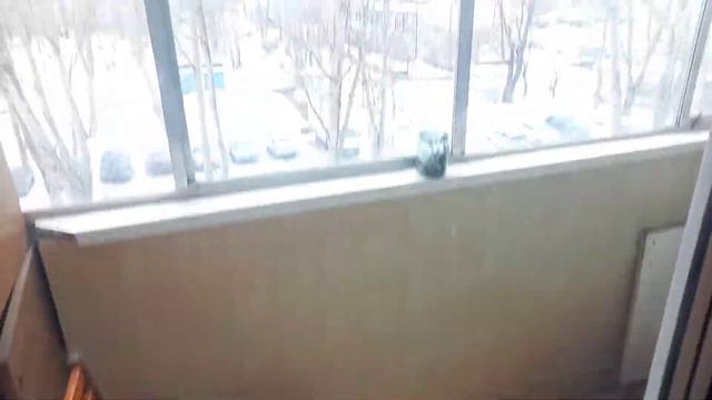 Гамово 50 лет Октября 19 смотреть онлайн