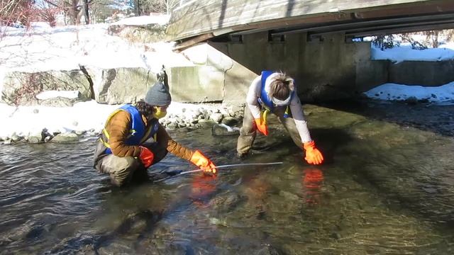 Measuring Stream Velocity Using the Float Ball Method смотреть онлайн