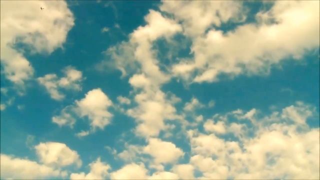 Новая заставка перед видео смотреть онлайн