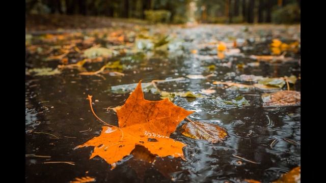 Ах, осень... смотреть онлайн