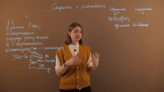 ЕГЭ ХИМИЯ | Скорость реакции и химическое равновесие смотреть онлайн