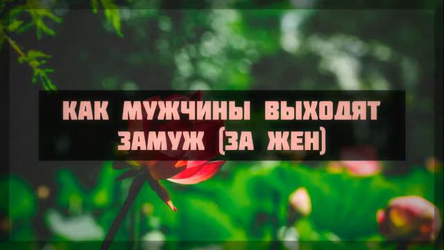 Как мужчины выходят замуж( за жен) Ринат Абу Мухаммад смотреть онлайн
