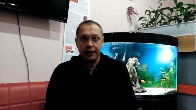 введение смотреть онлайн