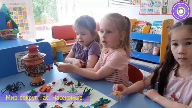 Мир вокруг нас. Насекомые. смотреть онлайн