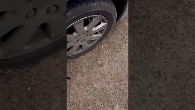 Неприятная ситуация на дороге смотреть онлайн