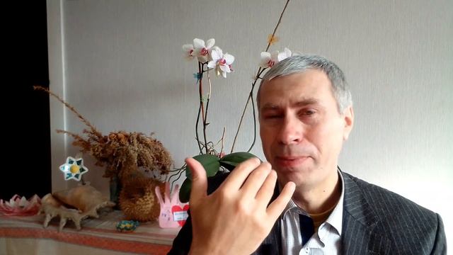"Прислушаться к Небесам". Дневник Возрождения. 8 Марта 2023 год. Константин Изотов смотреть онлайн
