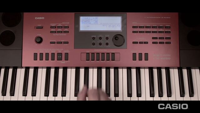 TUTORIAL I CTK 6250 / CTK 6200 / WK 6600 Cómo formatear una tarjeta de memoria SD смотреть онлайн