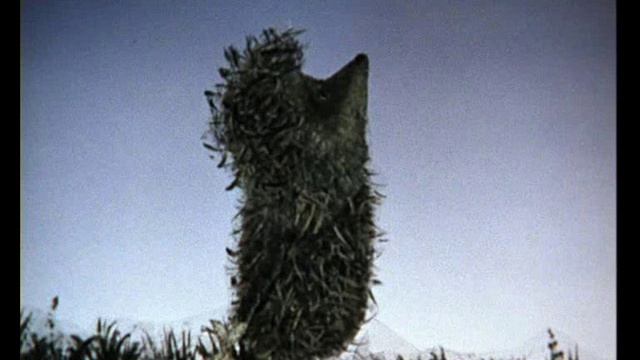 Потаня - Кочующие Ёжики смотреть онлайн