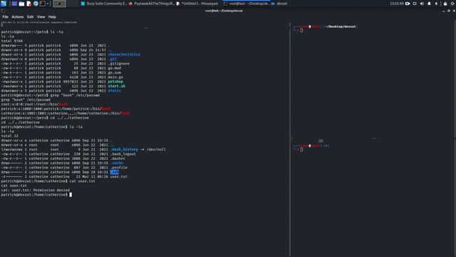 Devzat Hackthebox Walkthrough смотреть онлайн