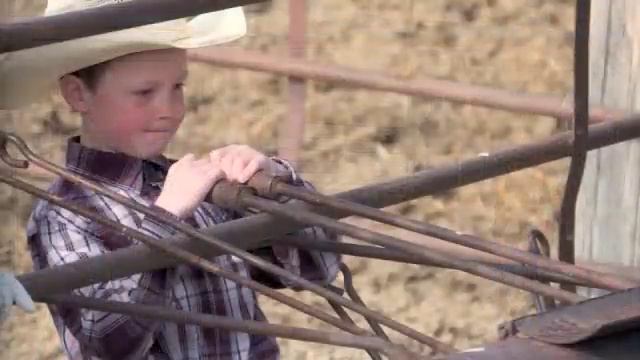 What is a Branding? Montana Cattleman Gene Curry Explains смотреть онлайн