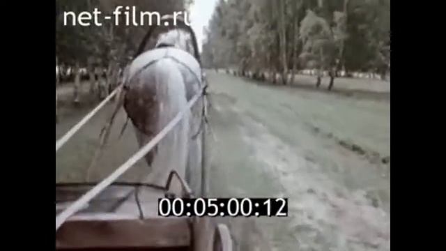 1983г. Праздник горных мари. 400 лет Козьмодемьянску смотреть онлайн