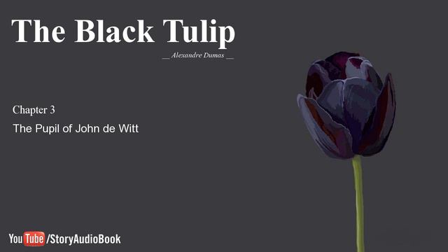 The Black Tulip by Alexandre Dumas - Chapter 3: The Pupil of John de Witt смотреть онлайн