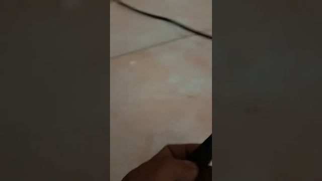 BL1912NN1QF8INV смотреть онлайн