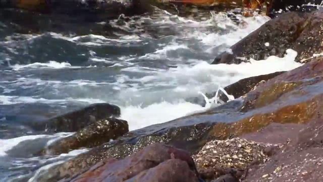 Canon PowerShot SX230 HS Sample Video смотреть онлайн