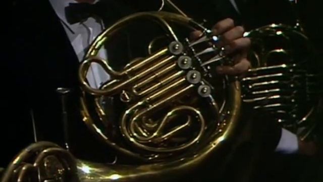 Tchaikovsky's 5th Symphony horn solo смотреть онлайн