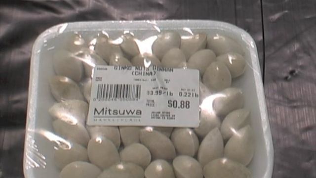 STARTING A GINKGO смотреть онлайн