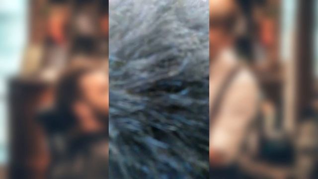 Мужская стрижка (FADE - 2019) смотреть онлайн