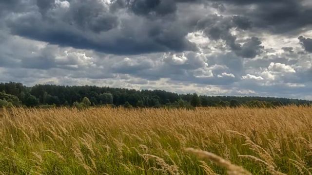 Александр Ярославцев. "Я видел небо" смотреть онлайн